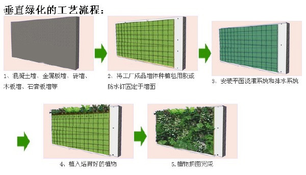 淺談我國(guó)城市立體綠化形式